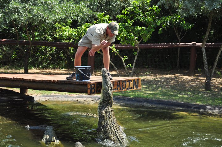 Zulu Croc Reptile Park Tours